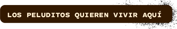 LOS PELUDITOS QUIEREN VIVIR AQUÍ