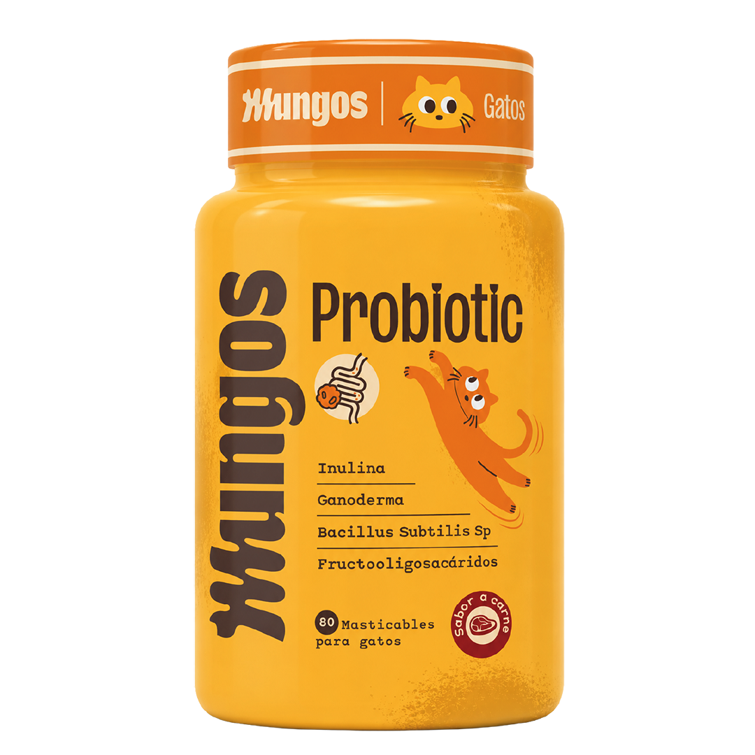 Cats Probiotic x 80