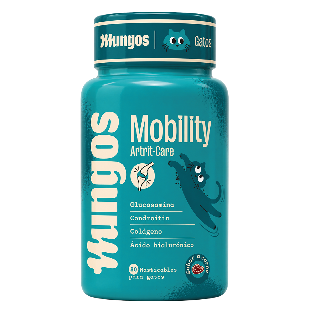Cats Mobility x 80