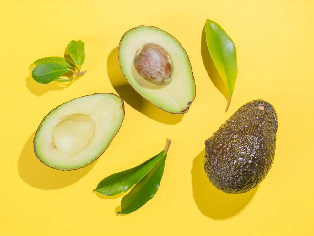 El Aguacate y los perros - Le puedo dar aguacate a mi perro