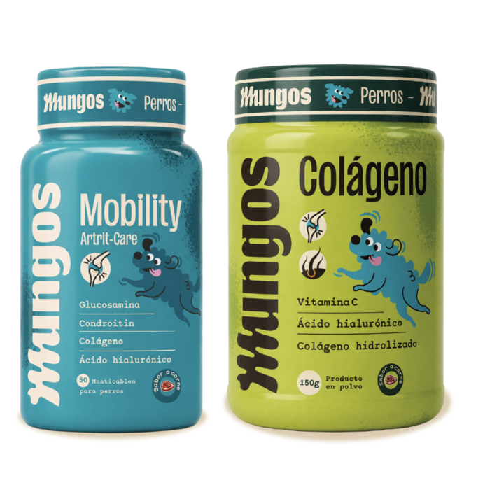 Kit Movilidad