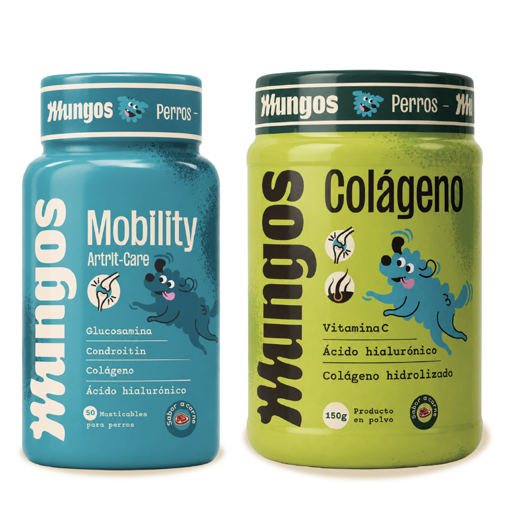 Kit Movilidad