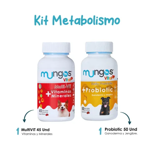 Kit Mungos Metabolismo