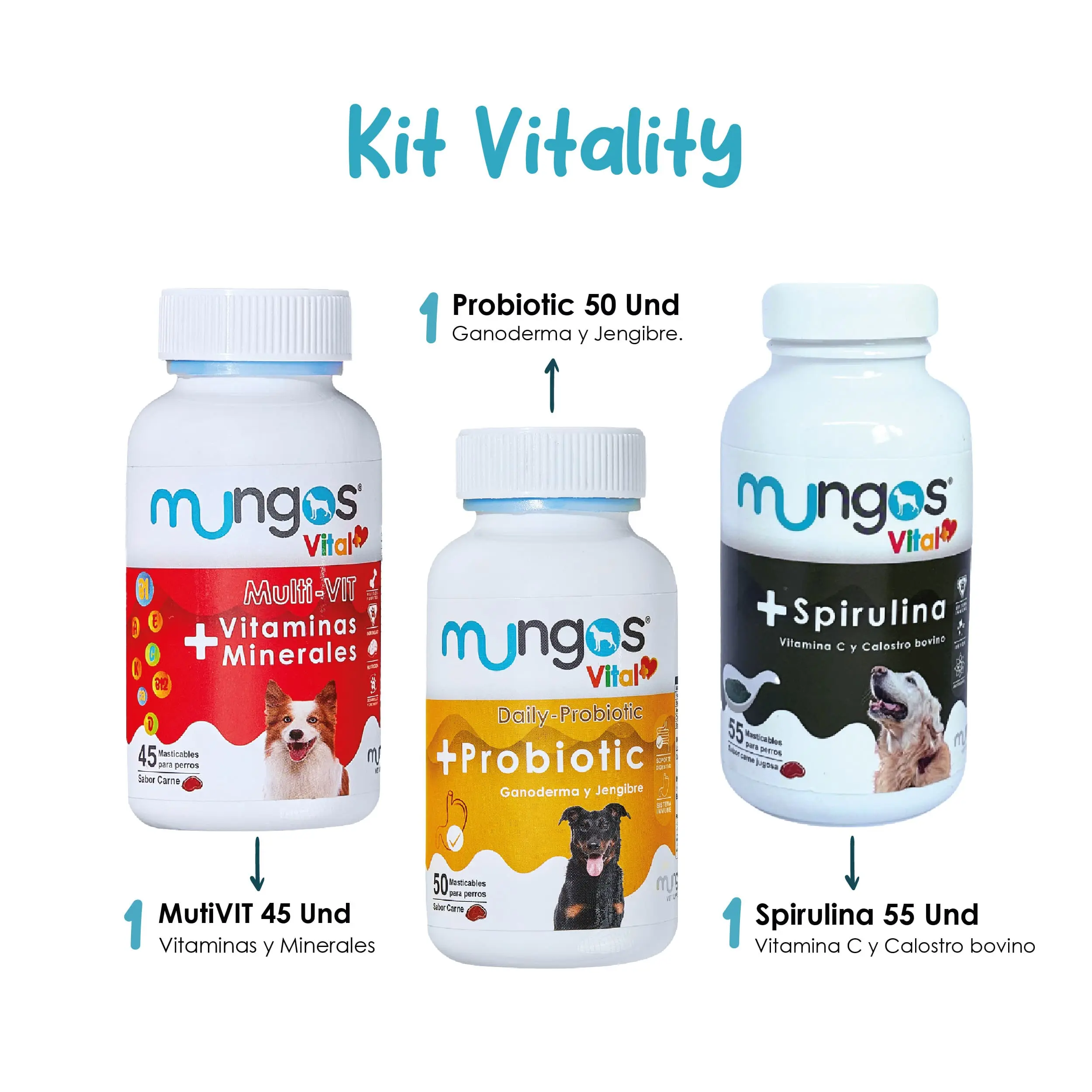 Suplementos, vitaminas, Galletas y Snacks saludables para perros y gatos - Productos funcionales y saludables - mungos.co Kit Mungos Vitality