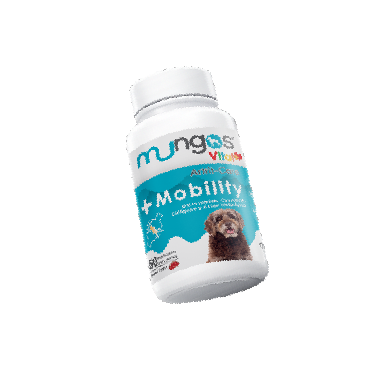 Mungos Mobility 1
